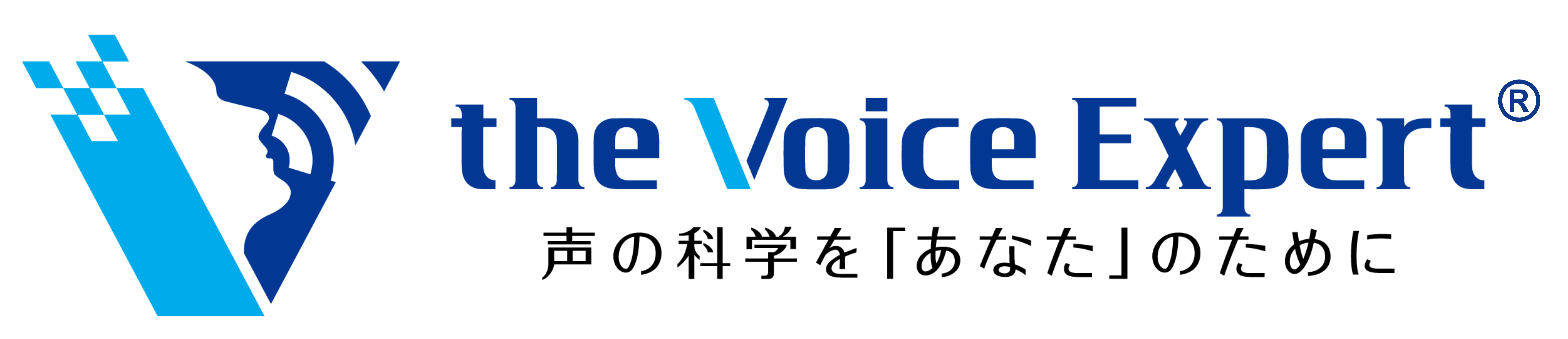 the Voice Expert